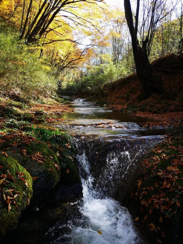 彩林之秋 | 觀山觀水觀紅葉,來旺蒼尋“醉”美秋色~ 彩林之秋 | 觀山觀水觀紅葉,來旺蒼尋“醉”美秋色~