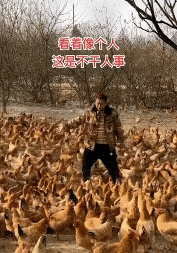 王力宏當年暗戀劉亦菲！所以才寫的《依然愛你》！網友簡直是人才