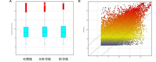晶片資料分析 晶片資料分析