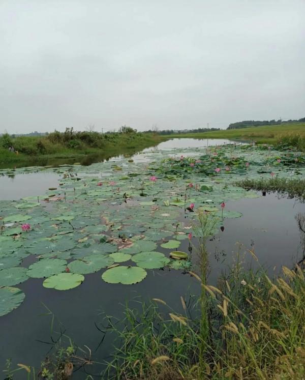 跑船海釣,休假在家野釣,釣魚任何時候都是船員的一種樂趣 跑船海釣,休假在家野釣,釣魚任何時候都是船員的一種樂趣
