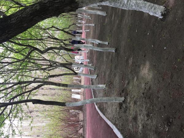 2.湘江公園 2.湘江公園