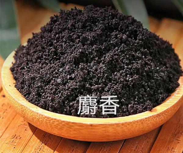 中藥古今研究:麝香 中藥古今研究:麝香