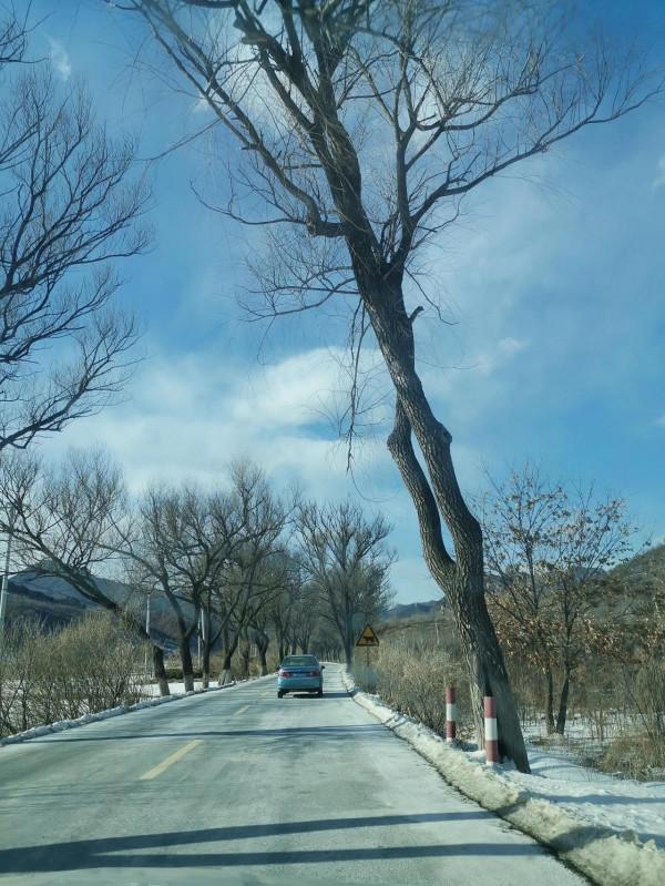 北京冬天快結束了，去北部山區這幾條著名山路探探路況