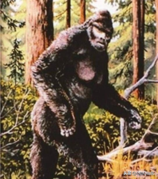 清朝|長白山下圖們江南岸有野人,遇人必問:秦始皇還在嗎? 清朝|長白山下圖們江南岸有野人,遇人必問:秦始皇還在嗎?