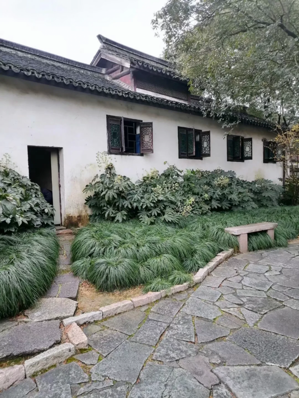 烏鎮千年水木年華，首屆奇葩鍾靈毓秀