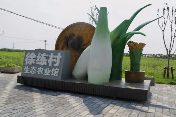 走,到練塘徐練村打卡去 走,到練塘徐練村打卡去