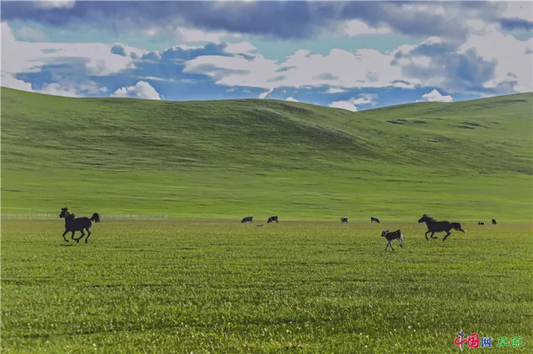 行攝草原丨盛夏走進清涼草原 感受悠閒夏日時光 行攝草原丨盛夏走進清涼草原 感受悠閒夏日時光