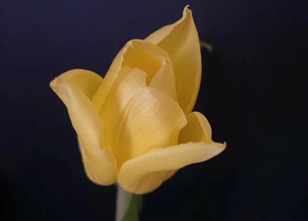 《道德經》真正的明白人，尊重他人，不掌控，不要求，不干涉他人