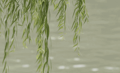 春天多喝湯，不怕倒春寒，教你最適合春天喝的湯