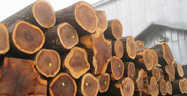 關於北美黑胡桃、北美櫻桃木、北美橡木、黃花梨等特點