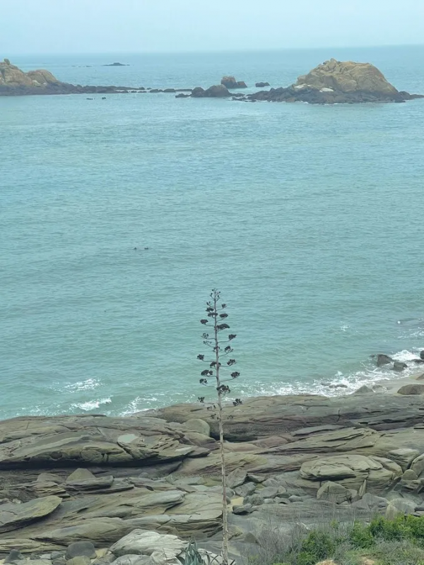 春節想要感受濃濃的年味 2022年春節小眾目的地