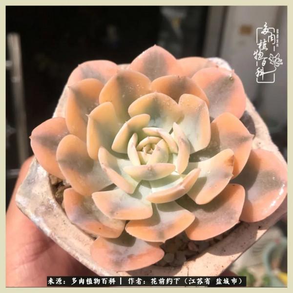 你儘管善良,福報都在路上 你儘管善良,福報都在路上