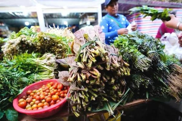 春天挖野菜，這些解膩清油的小嫩苗千萬別錯過