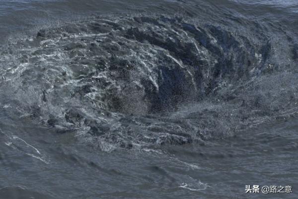 震驚世界的首次核潛艇海難：美國“長尾鯊”號沉向死亡之淵