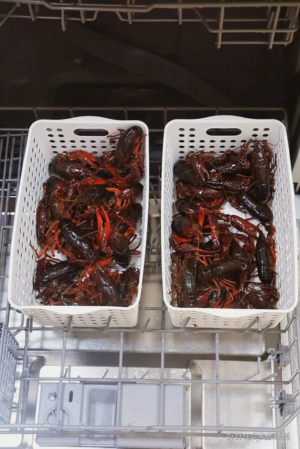 洗碗機洗萬物？春節期間全都用得上