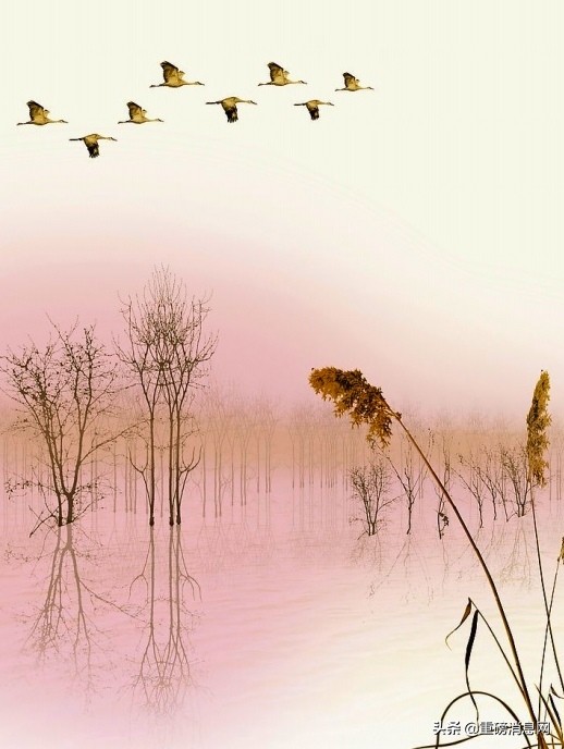 又聞歸雁聲聲叫,懷鄉又傳《秋分謠》 又聞歸雁聲聲叫,懷鄉又傳《秋分謠》