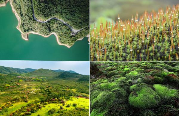 探秘中國十大國家公園體制試點區