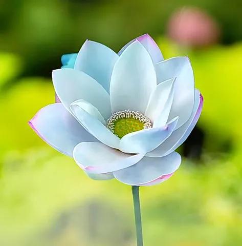 哪個時候讓你明白錢的重要性？