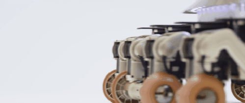 90個神奇照片，剛出生的小刺蝟，大白鯊的驚人尺寸，水上麻將桌椅