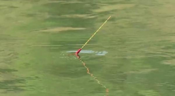 如何根據水情魚情,靈活調整作釣方法?有十條規律可以遵循 如何根據水情魚情,靈活調整作釣方法?有十條規律可以遵循