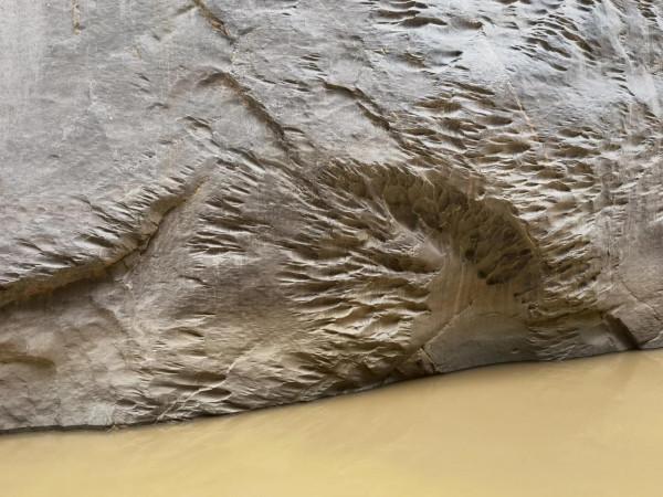 被水咬過的石頭 被水咬過的石頭