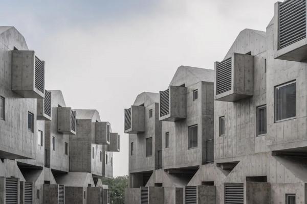 阿那亞新作,75m²獨梯獨戶寵物酒店,狗生圓滿不過如此 阿那亞新作,75m²獨梯獨戶寵物酒店,狗生圓滿不過如此