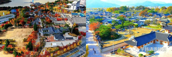 「遊」韓國的這座城市不允許建高樓，甚至家門口前都是墓地