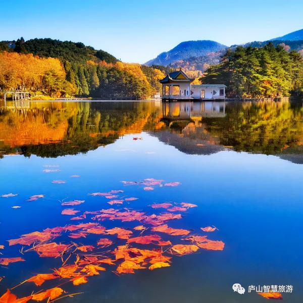 一聲梧葉一聲秋，廬山開啟七彩秋色模式