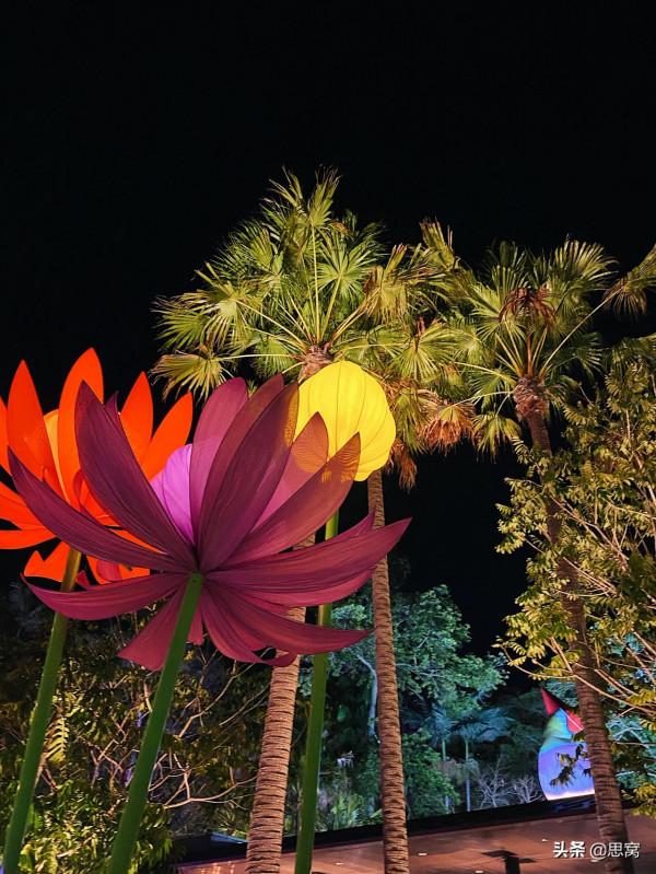 思窩星圖騰:布里斯班節,藝術源於生活又高於生活,終將回歸生活 思窩星圖騰:布里斯班節,藝術源於生活又高於生活,終將回歸生活