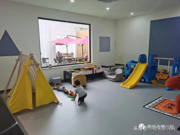 北京新開一家動物園,可以和老虎共進午餐 北京新開一家動物園,可以和老虎共進午餐