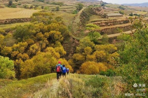 山西,讓我一次愛個夠之十五:山西結環穿+柏楊嶺堡/五眼井堡) 山西,讓我一次愛個夠之十五:山西結環穿+柏楊嶺堡/五眼井堡)