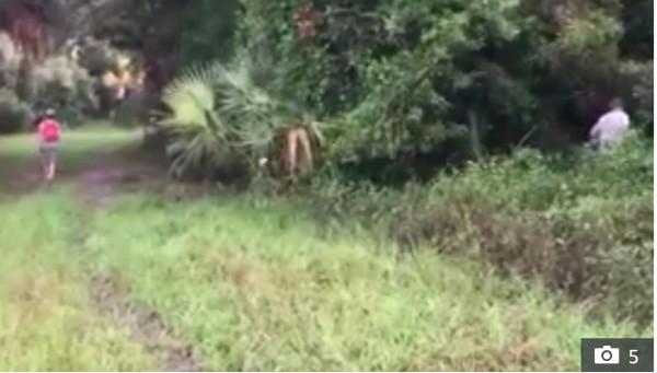 美國情侶房車失蹤案重大進展！男方遺體被找到，被發現時已是殘骸