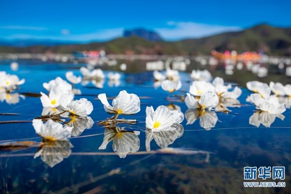 雲南已劃建自然保護地362處 約佔全省國土面積的14.32%