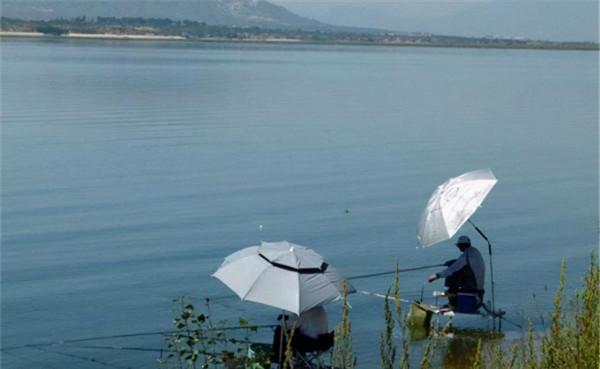 仲秋出竿，釣大鯉魚的幾個訣竅，學會之後，大鯉魚釣到手痠