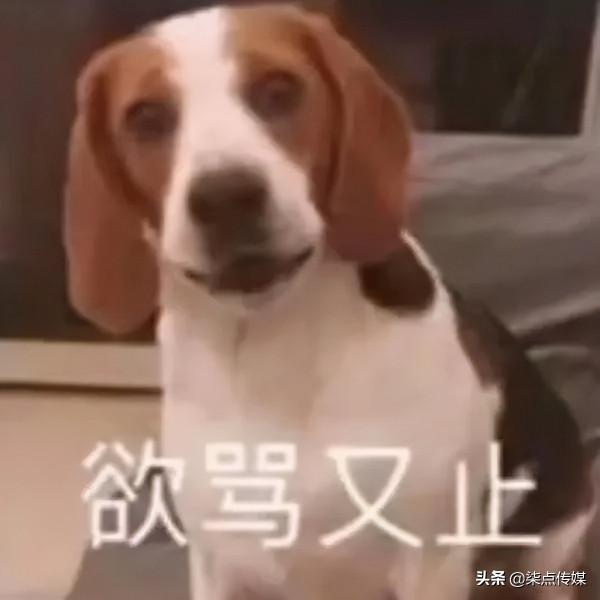 小紅書的網圖濾鏡，騙了多少人？