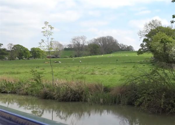 52歲的他放棄一切，住進33㎡“房船”中漂泊流浪，一晃已生活5年