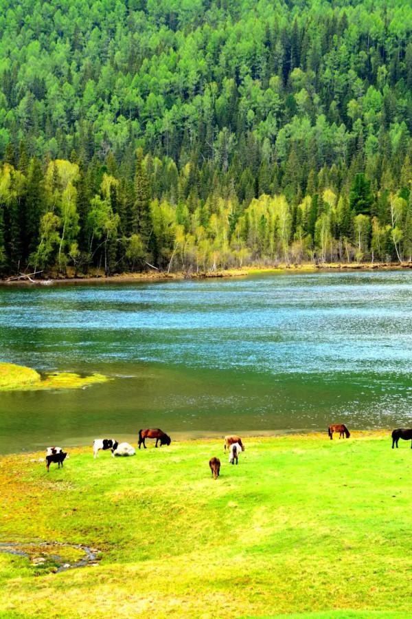 推薦幾個中國仙境般的旅遊景點，值得此行