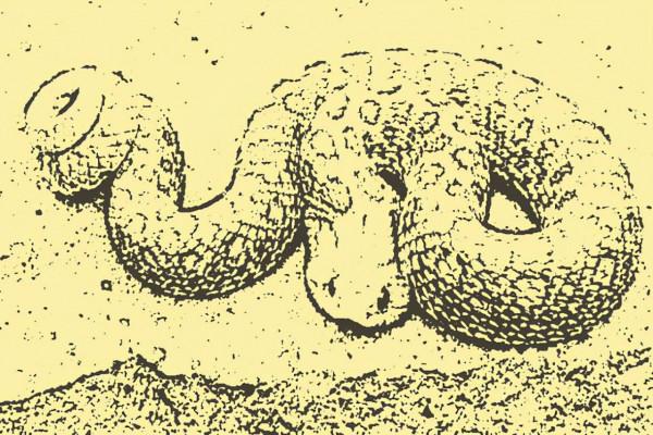 民間故事：蛇子遭家庭遺棄山中，前來報恩，又遭鄉鄰誤解