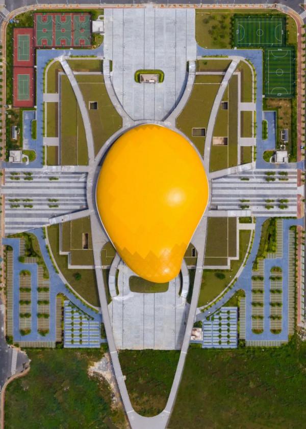 557億斤！中國&OpenCurlyDoubleQuote;水果王國&rdquo;，為什麼是廣西？