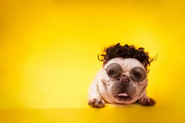 20個幽默短句，有趣有品，韻味十足！