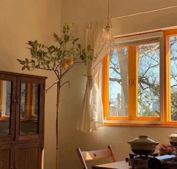 高考｜34頁政治答題模板，吃透90+（可列印）