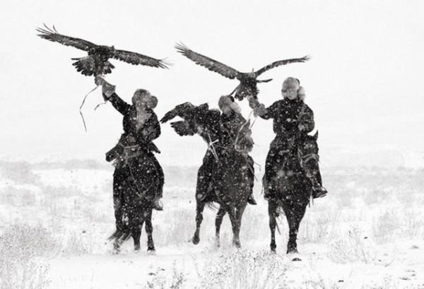 萬鷹之神——海東青 萬鷹之神——海東青