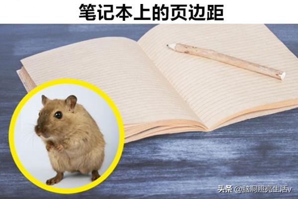 雖然經常會見到,但卻不一定知曉背後隱藏功能的9個物品 雖然經常會見到,但卻不一定知曉背後隱藏功能的9個物品