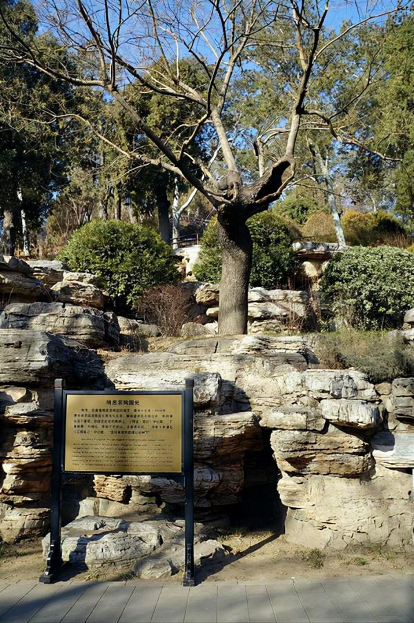 東林黨和魏忠賢，誰才是導致明朝覆滅的根源？