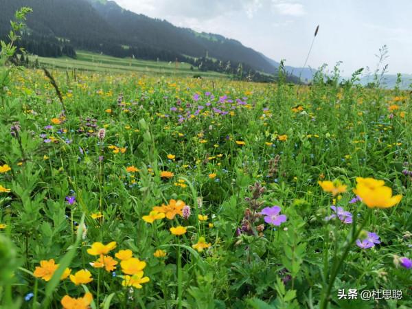 漢EV自駕新疆伊犁，風景如畫的百里畫廊，待小半個月不過分