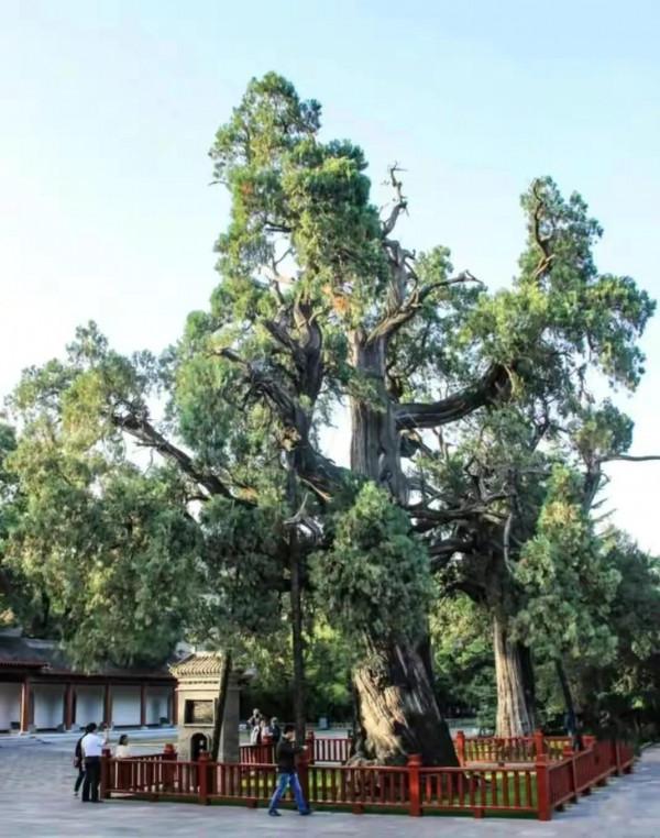 華夏文明到底是起源於哪裡？