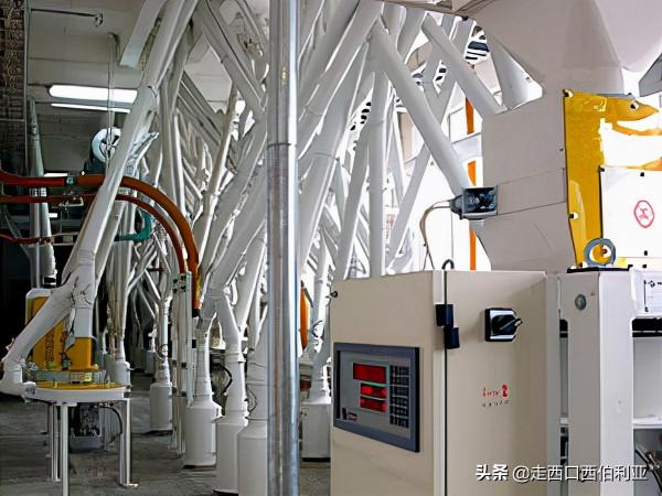 百年糧倉,守護百姓希望 百年糧倉,守護百姓希望