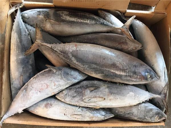 這6種魚平時要少吃，或含有甲醛和重金屬，看看有你常吃的嗎？