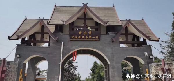 普洱茶七“最”,你喝過幾種? 普洱茶七“最”,你喝過幾種?