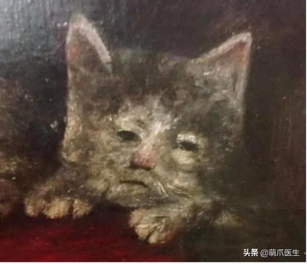 看了我太太太爺爺畫的貓後…網友:同一個物種 看了我太太太爺爺畫的貓後…網友:同一個物種